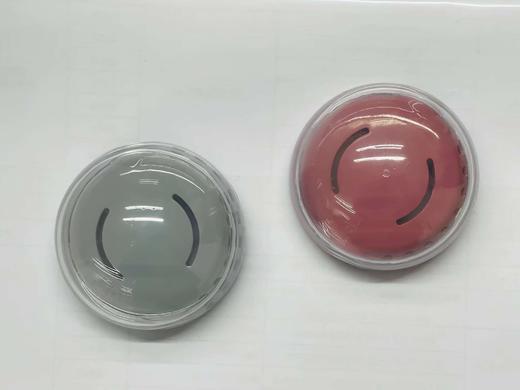 【配件】DL-1022  东菱手持挂烫机可折叠水箱组件 商品图3