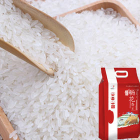 五常大米——原粮稻花香二号