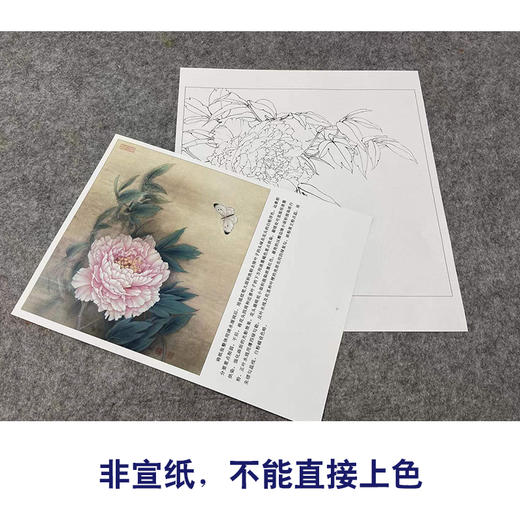 【有步骤、大彩图】李晓明工笔画白描底稿斗方小品《芙蓉面》牡丹初学者临摹勾线花鸟线稿K026 商品图2