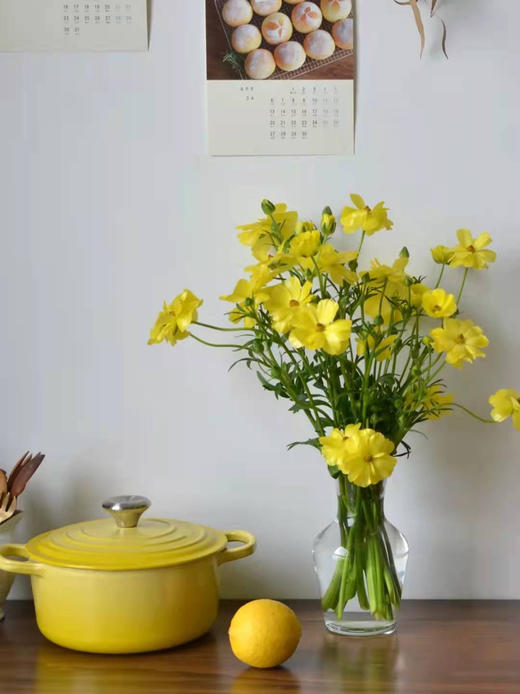 活动蝴蝶洋牡丹 商品图1