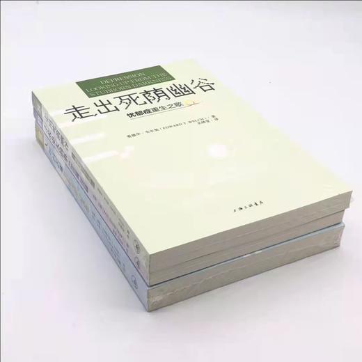 【SJ辅导系列】在恩典中经历蜕变的喜乐。《寻求更大的事》《走出死荫幽谷》《人如何改变》 商品图1