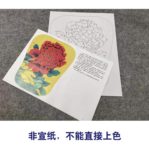 【有步骤、大彩图】李晓明工笔画白描底稿宫扇小品《火炼金丹》牡丹初学者临摹花鸟线稿KL18 商品图2
