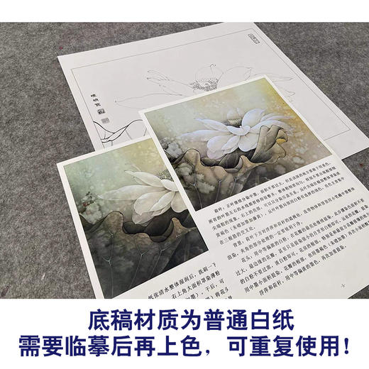 【有步骤、大彩图】李晓明工笔画白底描斗方小品《荷韵生辉》荷花初学者临摹花鸟线稿KL24 商品图3