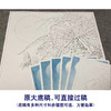 【有步骤、大彩图】李晓明工笔画白描底稿斗方小品《露冷风清花自香》蝴蝶兰花初学者临摹花鸟线稿KL25 商品缩略图1