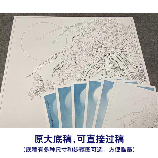【有步骤、大彩图】李晓明工笔画白描底稿斗方小品《露冷风清花自香》蝴蝶兰花初学者临摹花鸟线稿KL25 商品图1