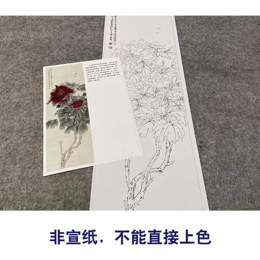【有步骤、大彩图】李晓明工笔画白描底稿《临于非闇墨洒金》牡丹初学者临摹花鸟线稿KL19 商品图2