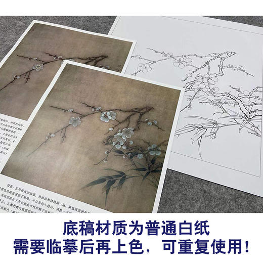 【有步骤、大彩图】李晓明工笔画白描稿斗方小品《临宋梅竹图页》梅花竹子初学者临摹花鸟线稿KL07 商品图3