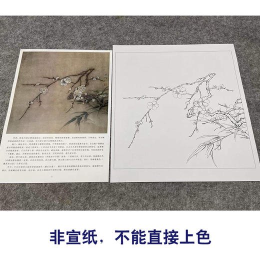 【有步骤、大彩图】李晓明工笔画白描稿斗方小品《临宋梅竹图页》梅花竹子初学者临摹花鸟线稿KL07 商品图2