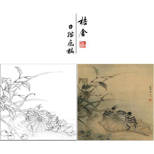 【有步骤、大彩图】李晓明工笔画白描底稿斗方小品《临宋荷蟹图》荷花螃蟹初学者临摹花鸟线稿KL03 商品图0