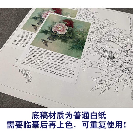 【有步骤、大彩图】李晓明工笔画白描底稿斗方小品《二乔白头》牡丹初学者临摹花鸟线稿KL21 商品图3