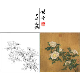 【有步骤、大彩图】李晓明工笔画白描底稿斗方小品《白蔷薇图》初学者临摹花鸟线稿KL02