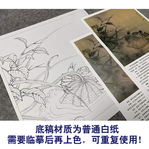 【有步骤、大彩图】李晓明工笔画白描底稿斗方小品《临宋荷蟹图》荷花螃蟹初学者临摹花鸟线稿KL03 商品图3