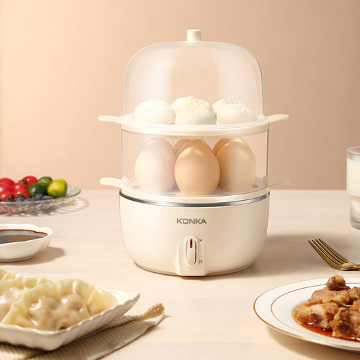 双层多用电蒸笼 商品图0