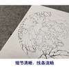 【有步骤、大彩图】李晓明工笔画白描底稿圆形小品《瑶池春》牡丹初学者临摹花鸟线稿KL16 商品缩略图4