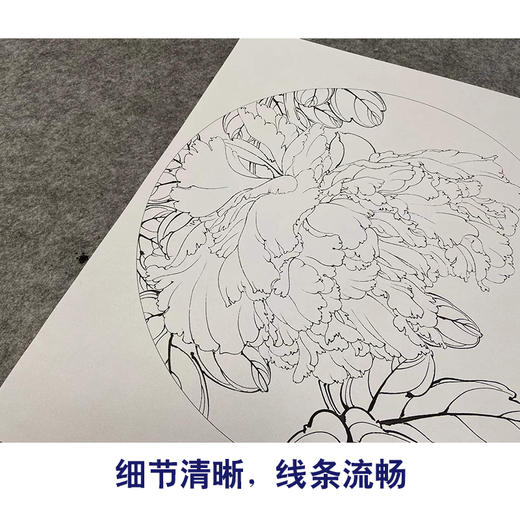 【有步骤、大彩图】李晓明工笔画白描底稿圆形小品《瑶池春》牡丹初学者临摹花鸟线稿KL16 商品图4