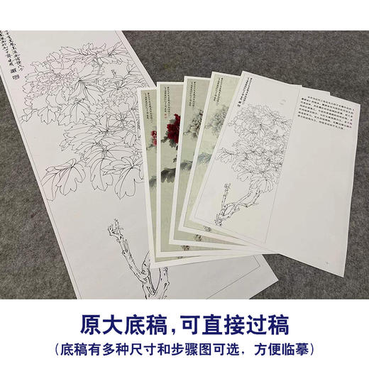 【有步骤、大彩图】李晓明工笔画白描底稿《临于非闇墨洒金》牡丹初学者临摹花鸟线稿KL19 商品图1