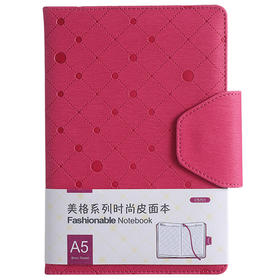 齐心皮面笔记本C5701   A5 122张