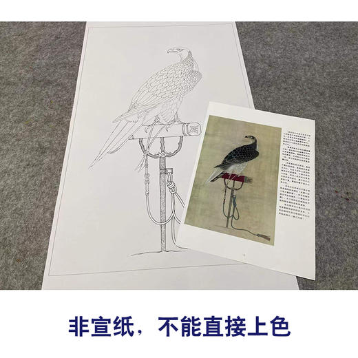 【有步骤、大彩图】李晓明工笔画白描底稿《架上鹰图》老鹰初学者临摹花鸟线稿KL15 商品图2