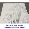 【有步骤、大彩图】李晓明工笔画白描底稿斗方小品《牡丹灰文鸟》初学者临摹花鸟线稿KL20 商品缩略图1