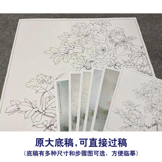 【有步骤、大彩图】李晓明工笔画白描底稿斗方小品《牡丹灰文鸟》初学者临摹花鸟线稿KL20 商品图1