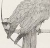 李军 | 《Face To 2020-3》之1 纸本水墨 120cm×60cm 商品缩略图4
