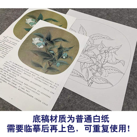 【有步骤、大彩图】李晓明工笔画白描底稿小品《夜合花图》初学者临摹花鸟线稿KL14 商品图3
