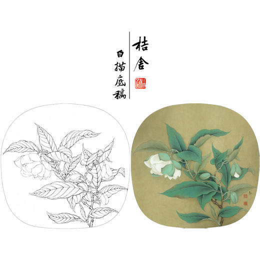 【有步骤、大彩图】李晓明工笔画白描底稿小品《夜合花图》初学者临摹花鸟线稿KL14 商品图0