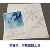 【有步骤、大彩图】李晓明工笔画白描底稿斗方小品《露冷风清花自香》蝴蝶兰花初学者临摹花鸟线稿KL25 商品缩略图2