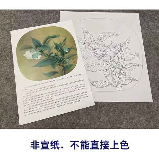 【有步骤、大彩图】李晓明工笔画白描底稿小品《夜合花图》初学者临摹花鸟线稿KL14 商品图2