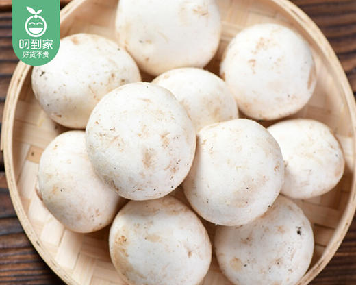 【叼鲜蔬】漳州新鲜白蘑菇/1份（约200g） 商品图3