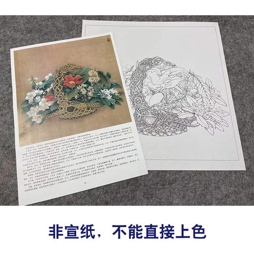 【有步骤、大彩图】李晓明工笔画白描底稿斗方小品《临宋花篮图页》山茶水仙梅花初学者临摹花鸟线稿KL04 商品图2