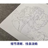 【有步骤、大彩图】李晓明工笔画白描底稿圆形小品《临宋品字牡丹图》牡丹初学者临摹花鸟线稿KL08 商品缩略图4