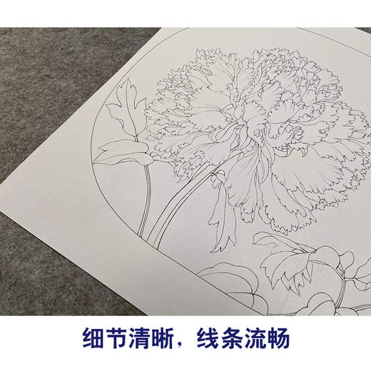【有步骤、大彩图】李晓明工笔画白描底稿圆形小品《临宋品字牡丹图》牡丹初学者临摹花鸟线稿KL08 商品图4