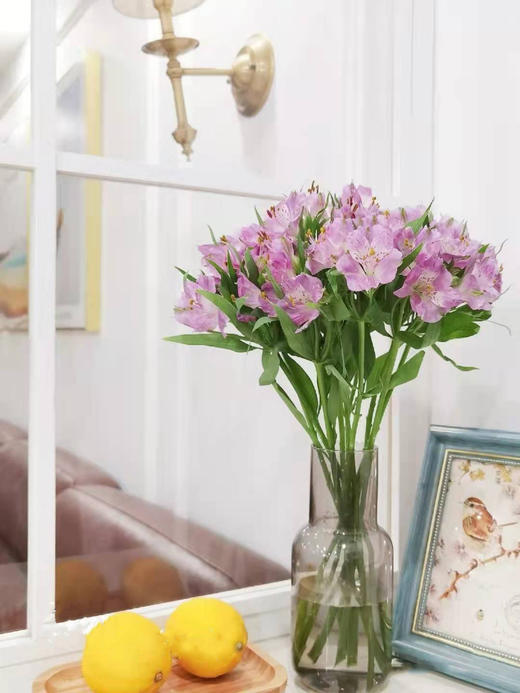 活动水仙百合 商品图0