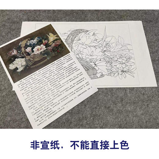 【有步骤、大彩图】李晓明工笔画白描稿斗方小品《临宋花篮图》蜀葵石榴栀子花初学者临摹花鸟线稿KL05 商品图2