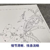 【有步骤、大彩图】李晓明工笔画白描底稿斗方小品《临宋枇杷绣羽图》初学者临摹花鸟线稿KL06 商品缩略图4
