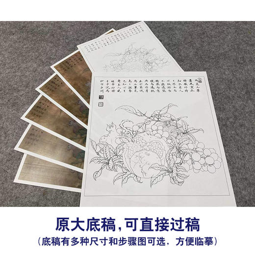 【有步骤、大彩图】李晓明工笔画白描底稿斗方小品《临宋吉祥多子图》石榴初学者临摹花鸟线稿K057 商品图1