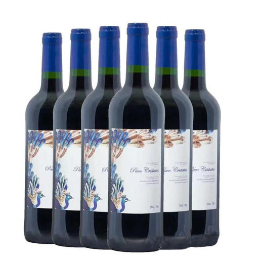 法国原装进口 蓝孔雀干红葡萄酒 750ml 商品图2