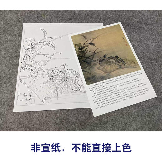 【有步骤、大彩图】李晓明工笔画白描底稿斗方小品《临宋荷蟹图》荷花螃蟹初学者临摹花鸟线稿KL03 商品图2