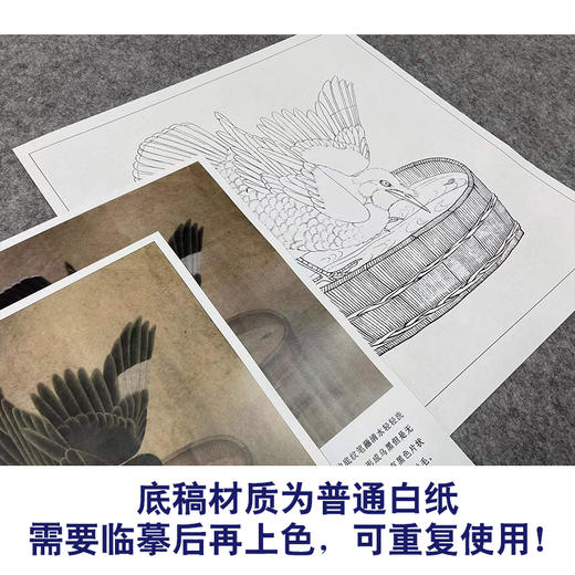 【有步骤、大彩图】李晓明工笔画白描底稿斗方小品《禽浴图》乌鸦临摹勾线动物线稿K064 商品图3