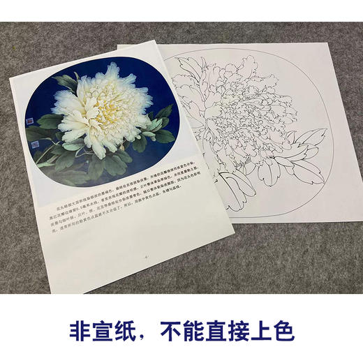 【有步骤、大彩图】李晓明工笔画白描底稿小品《烟笼翠》牡丹初学者临摹花鸟线稿KL17 商品图2