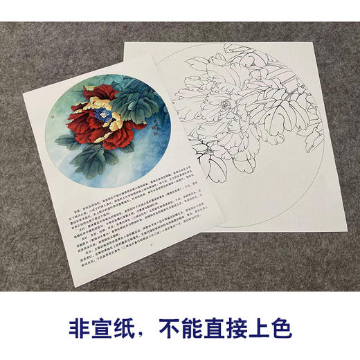 【有步骤、大彩图】李晓明工笔画白描底稿圆形小品《金背大红》牡丹初学者临摹花鸟线稿KA02 商品图2
