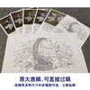 【有步骤、大彩图】李晓明工笔画白描稿斗方小品《临宋花篮图》蜀葵石榴栀子花初学者临摹花鸟线稿KL05 商品缩略图1