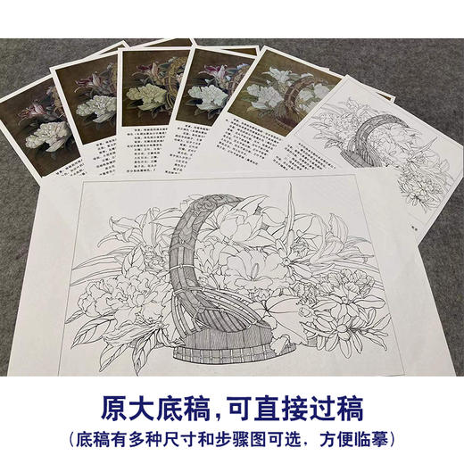 【有步骤、大彩图】李晓明工笔画白描稿斗方小品《临宋花篮图》蜀葵石榴栀子花初学者临摹花鸟线稿KL05 商品图1
