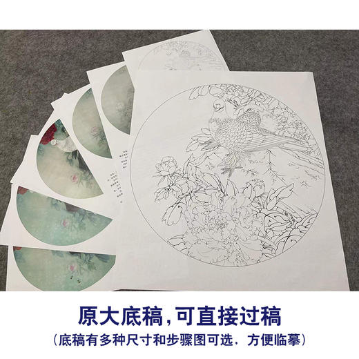 【有步骤、大彩图】李晓明工笔画白描底稿圆形小品《满园芳菲》牡丹鸽子初学者临摹花鸟线稿KL26 商品图1