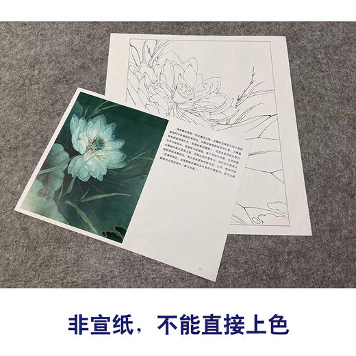 【有步骤、大彩图】李晓明工笔画白描底稿斗方小品《荷池清梦》荷花初学者临摹花鸟线稿K088 商品图2