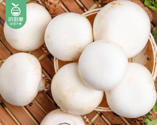 【叼鲜蔬】漳州新鲜白蘑菇/1份（约200g） 商品图2