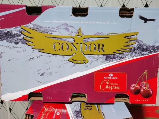 预订318元/箱10斤智利车厘子一箱 商品图0