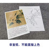 【有步骤、大彩图】李晓明工笔画白描底稿斗方小品《临宋枇杷绣羽图》初学者临摹花鸟线稿KL06 商品缩略图2