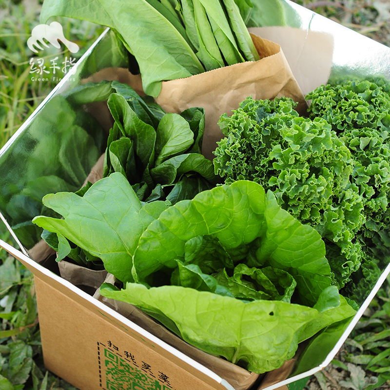 生态时令蔬菜箱（一件包邮）| 绿家自产*ecological eafy vegetables | Self-production